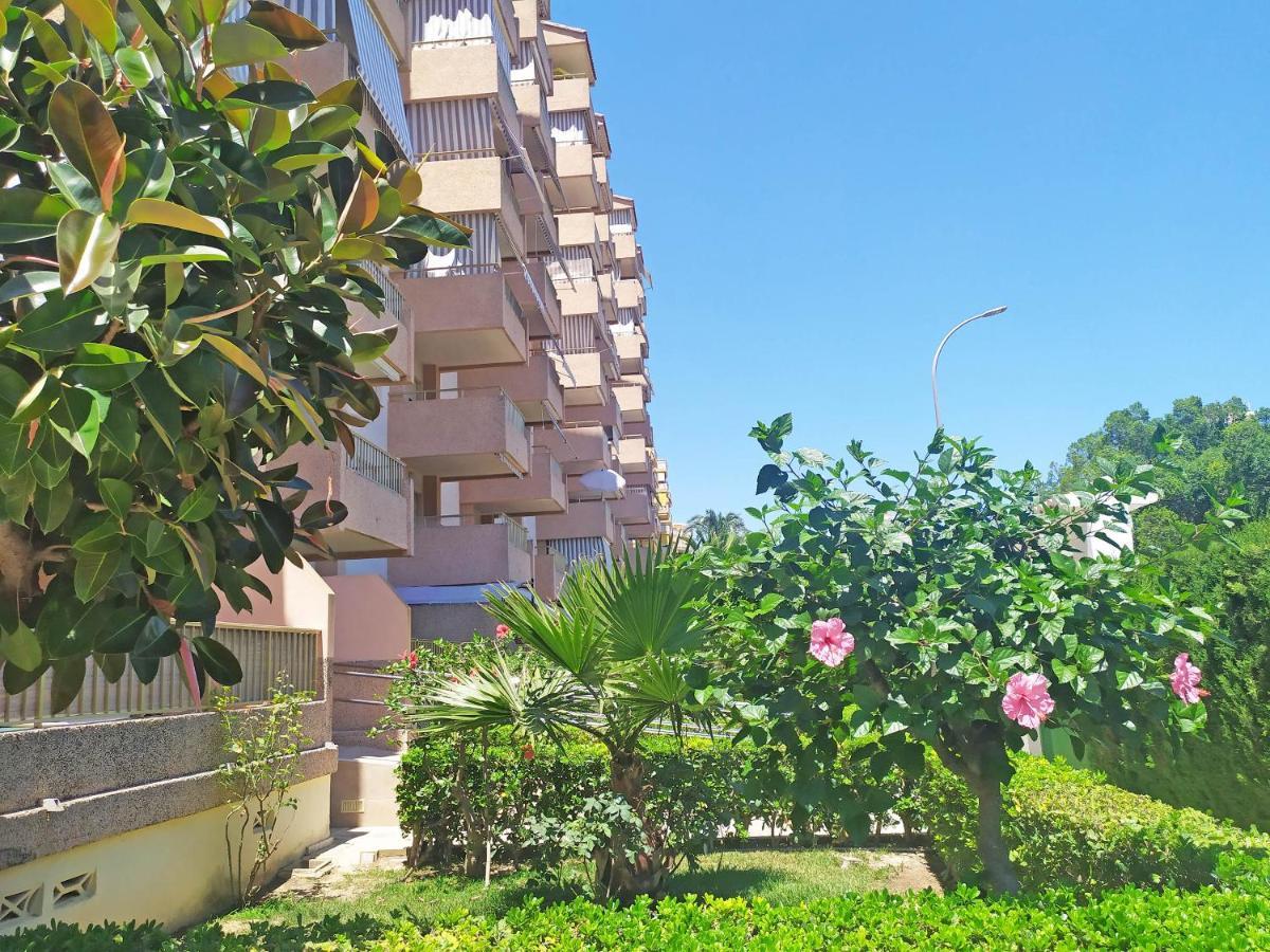 Apartamentos Gandia Beach 3000 Екстериор снимка